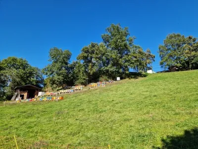 Grundstück kaufen in Spittal an der Drau – 750 m², € 131.250 – Bild 4 von 5
