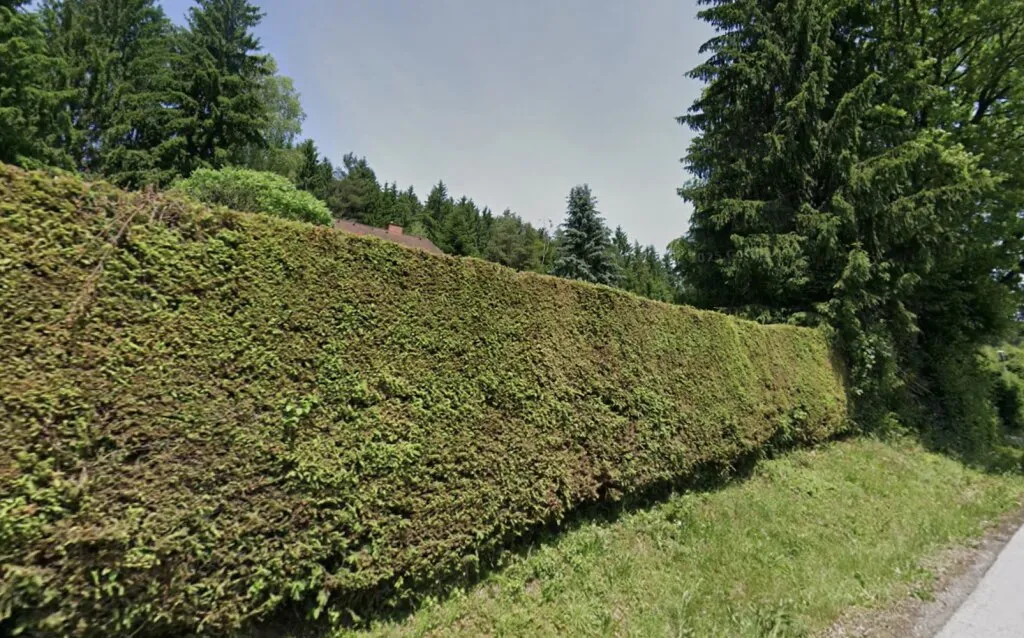 Bereit für Ihr neues Zuhause - Baugrundstück ca.858 m² mit Gartenhütte & Heckenbestand!! - Ansicht 3