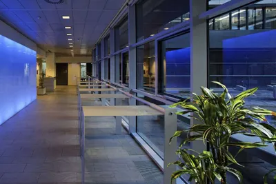 Gewerbeimmobilie mieten in Wien – 1 141 m², € 16 – Bild 5 von 7