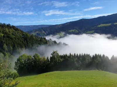 4-Zimmer-Immobilie kaufen in Bruck-Mürzzuschlag – 95 m², € 140.000 – Bild 9 von 50