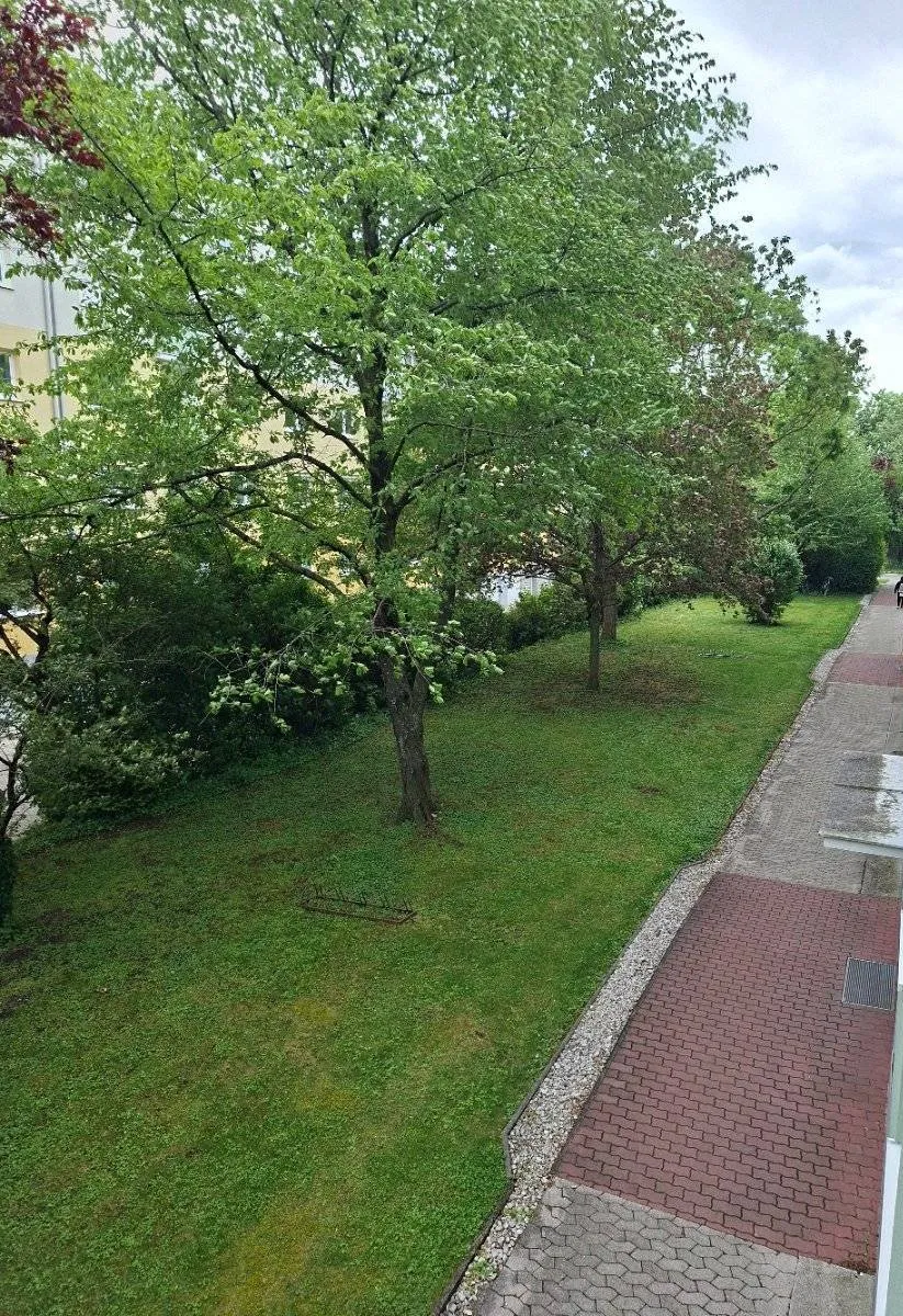 Familientraum 4-Zimmer-Wohnung mit Grünblick - Ansicht 3