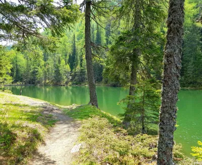50-Zimmer-Gewerbeimmobilie kaufen in Sankt Veit an der Glan – 3 000 m², € 1.500.000