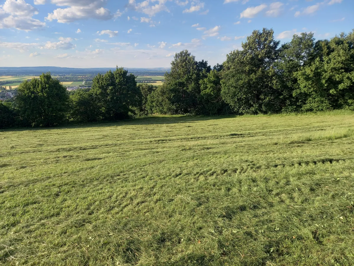 Landwirtschaftliches Grundstück - Ansicht 2