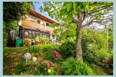 Haus kaufen in Wien – 1 000 m² – Bild 5 von 10