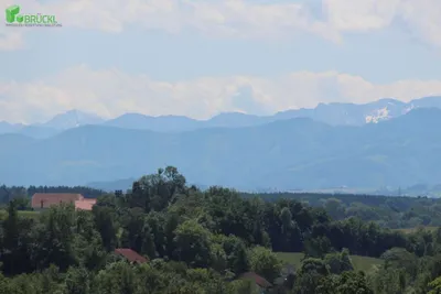 Grundstück kaufen in Linz Land – 700 m² – Bild 11 von 20