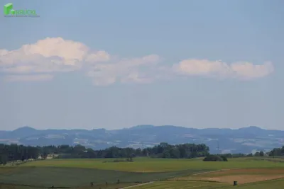 Grundstück kaufen in Linz Land – 700 m² – Bild 19 von 20