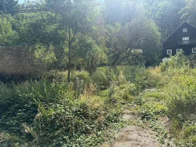 Grundstück kaufen in Wien – 2 681 m², € 590.000 – Bild 5 von 6