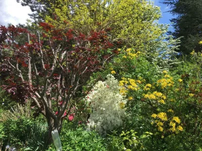 Haus kaufen in Deutschlandsberg – 364 m², € 980.000 – Bild 5 von 56