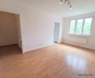 1-Zimmer-Wohnung mieten in Mödling – 30,19 m², € 345 – Bild 4 von 9