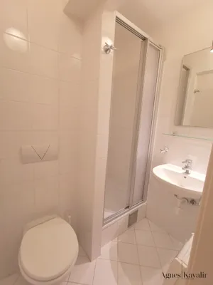 1-Zimmer-Wohnung mieten in Mödling – 30,19 m², € 345 – Bild 9 von 9