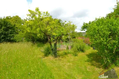 Grundstück kaufen in Wiener Neustadt Land – 1 884 m², € 649.000 – Bild 4 von 16