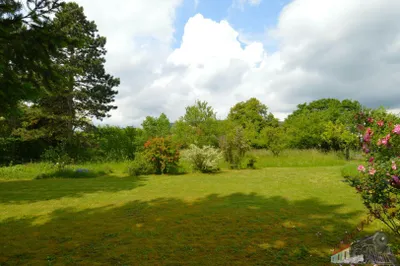 Grundstück kaufen in Wiener Neustadt Land – 1 884 m², € 649.000 – Bild 6 von 16