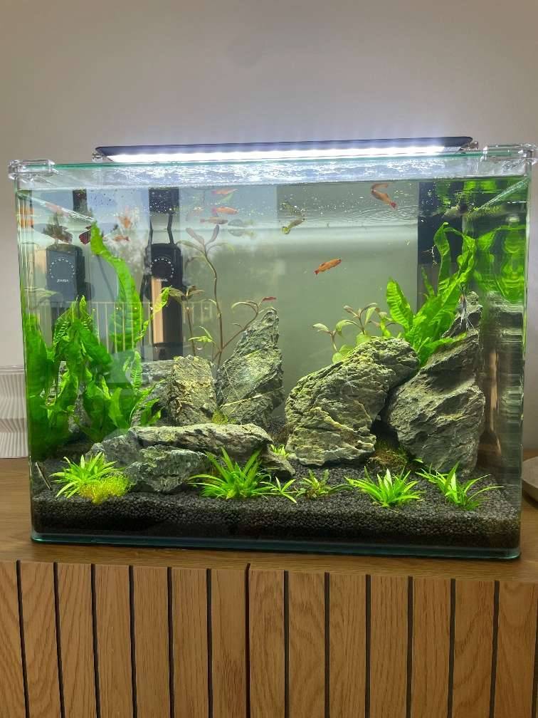 Aquarium von Dennerle Nano Tank Plant Pro 55 L,  260,- (5111 Brmoos) -  willhaben