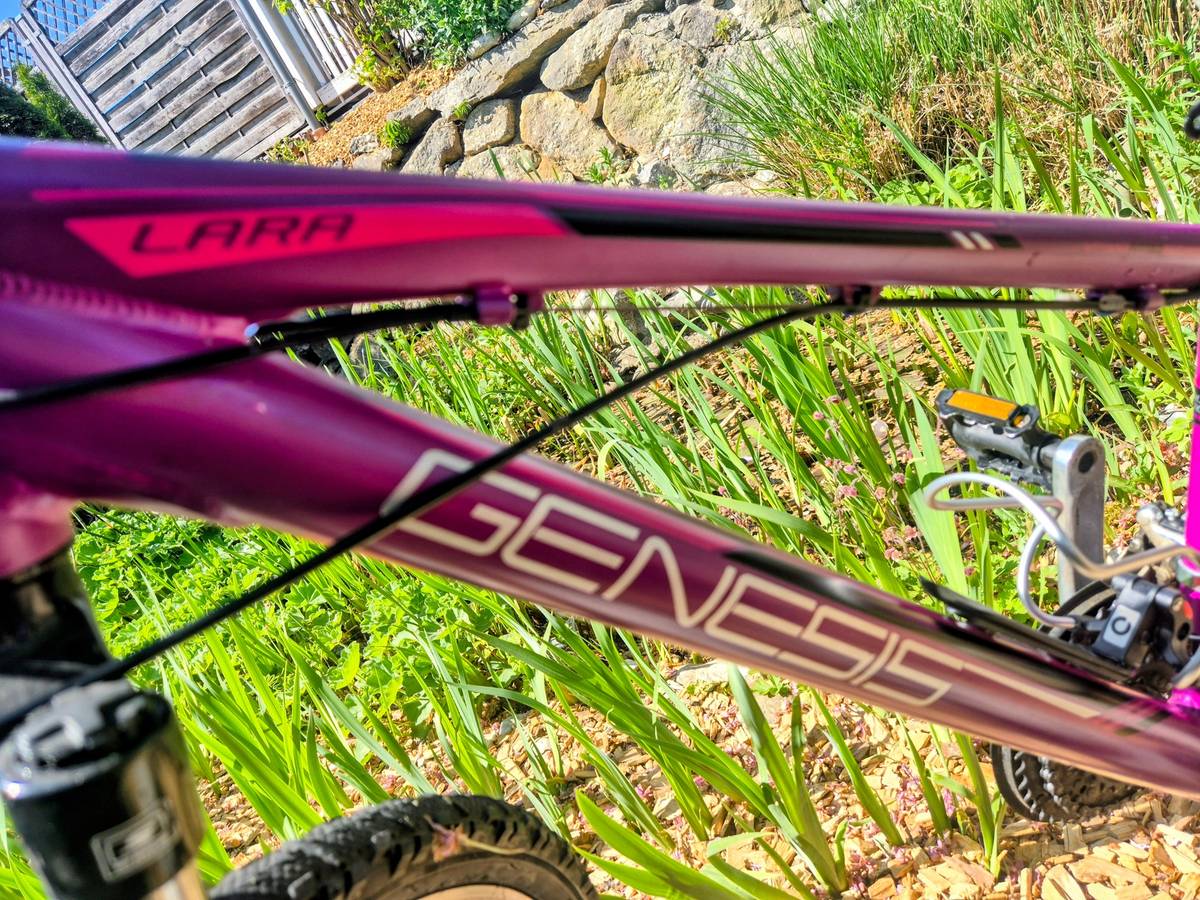 Genesis Mdchen Mountainbike straentauglich 26 Zoll Reifen 14,5 Zoll  Rahmen,  149,- (3361 Aschbach-Dorf) - willhaben