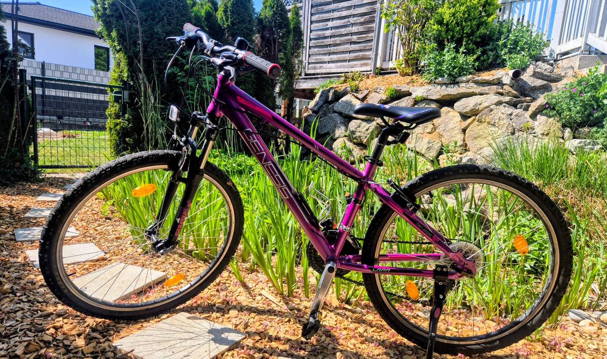 prometheus kinderfahrrad Kinderfahrrad 14 Zoll ab 3-4 Jahre mit Stützräder in Rosa & Weiß –  prometheus-bikes