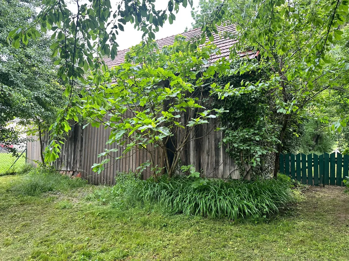 Grundstück mit Altbestand - Ansicht 2