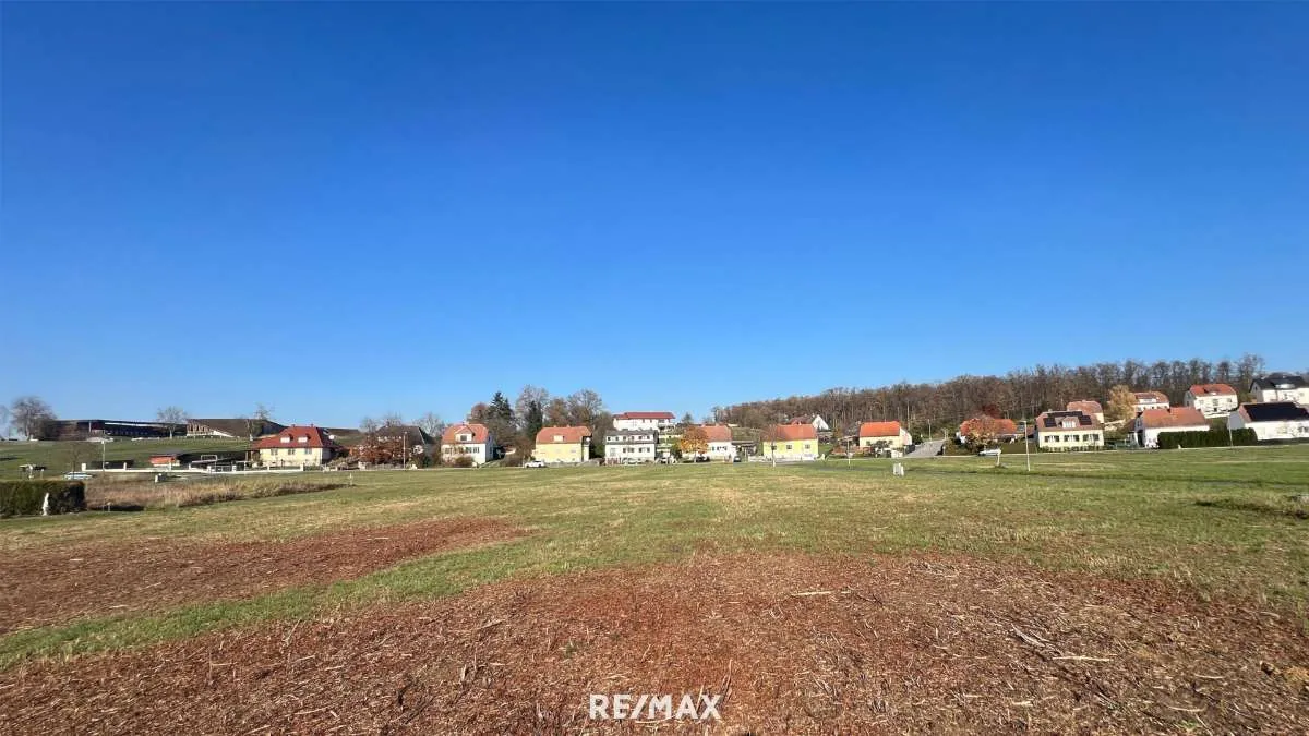 Großes Baugrundstück (ca. 1 ha) in Güssinger Ortsrandlage! - Ansicht 3