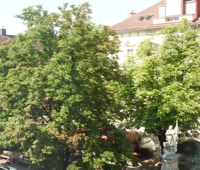 Gewerbeimmobilie kaufen in Wolfsberg – 157 m², € 450.000 – Bild 8 von 8