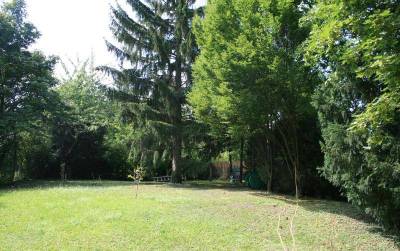 SÜDSEITIGE GARCONNIERE MIT SÜDTERRASSE NÄHE MAURER HAUPTPLATZ ink. Heizung+ Warmwasser – Bild 2