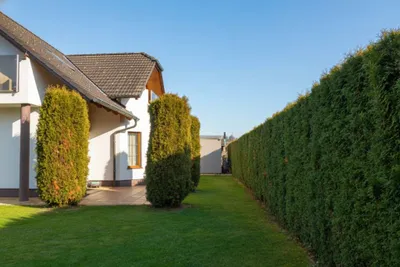 8-Zimmer-Haus kaufen in Hartberg-Fürstenfeld – 234 m², € 649.000 – Bild 6 von 43