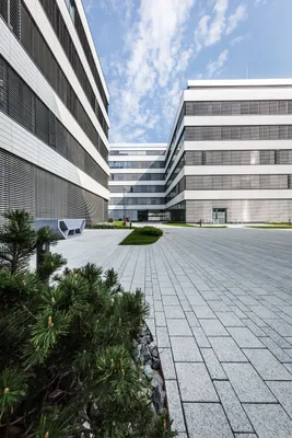 Gewerbeimmobilie mieten in Wien – 501 m², € 16 – Bild 10 von 14