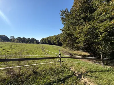 5-Zimmer-Immobilie kaufen in Südoststeiermark – 130 m², € 585.000 – Bild 15 von 29