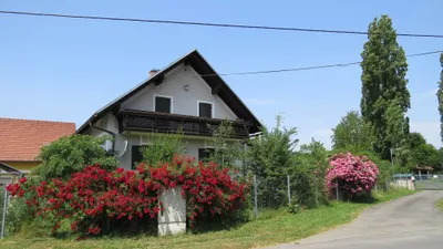 5-Zimmer-Immobilie kaufen in Südoststeiermark – 130 m², € 585.000 – Bild 2 von 29