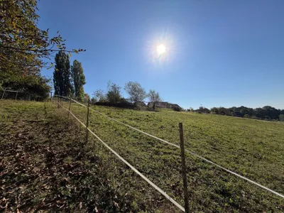 5-Zimmer-Immobilie kaufen in Südoststeiermark – 130 m², € 585.000 – Bild 16 von 29
