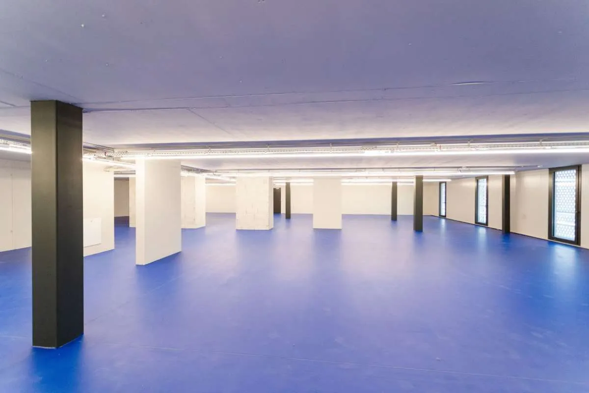 100m², 107m² ,120m² und 145 m² Moderne Gewerbe- und Lagerfläche zur Miete in Brunn am Gebirge - Ansicht 2