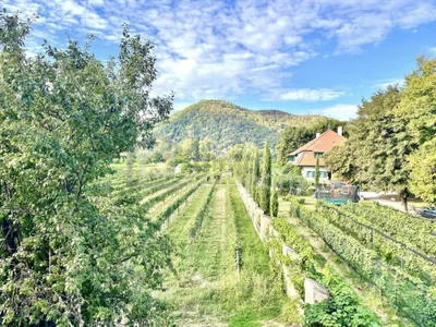 Gewerbeimmobilie kaufen in Krems Land – 893 m², € 2.800.000 – Bild 4 von 16