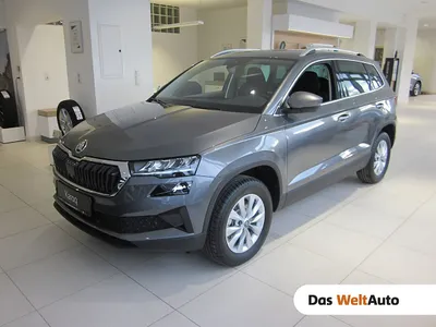Skoda Karoq 4x4 Selection TDI DSG