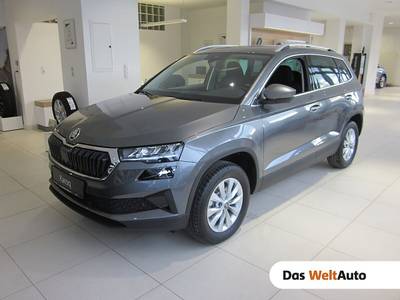 Skoda Karoq 4x4 Selection TDI DSG