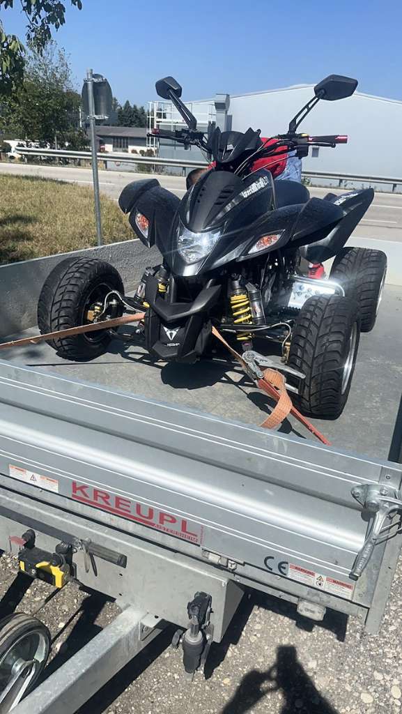 Dinli 450 Special Quad