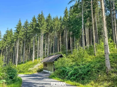 Immobilie kaufen in Gmunden – 13 335 m², € 130.000 – Bild 5 von 5