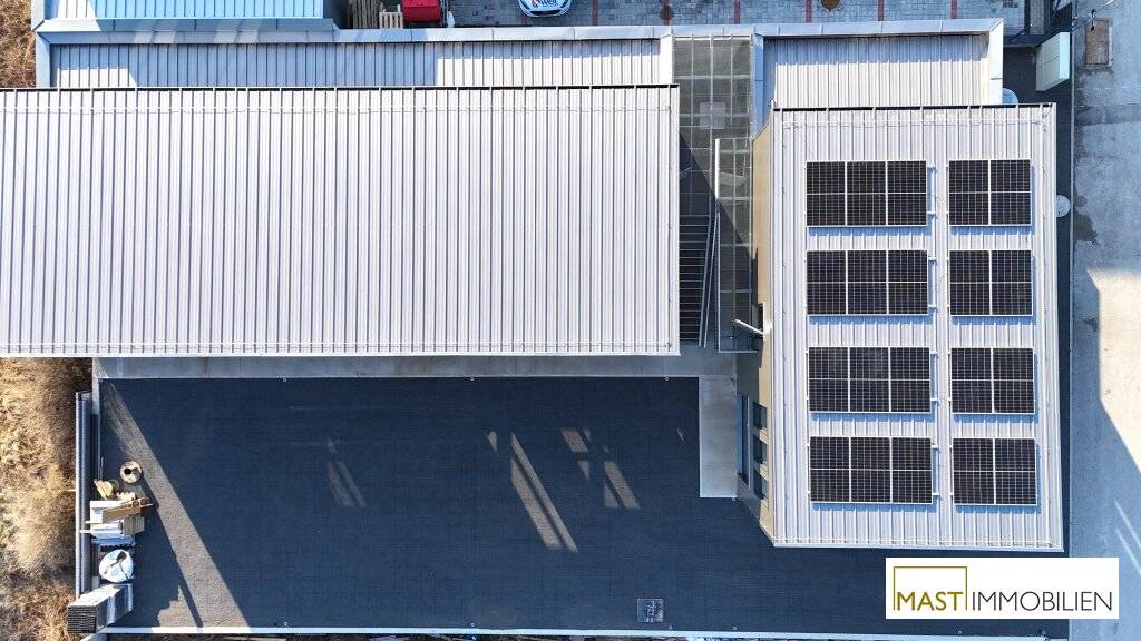 Moderne Neubauhalle im aufstrebenden Industrieviertel von Sooß - flexible Flächen ab sofort verfügbar - Ansicht 3