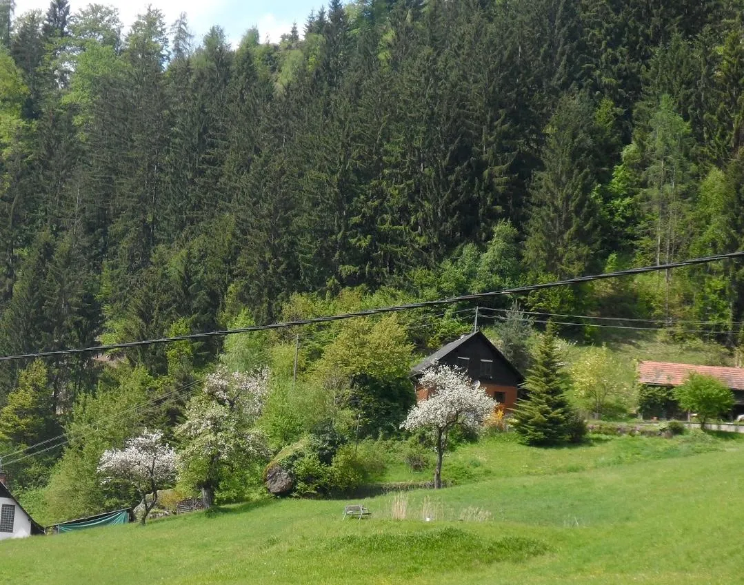 Reserviert!! 9413 St.Gertraud/Prössinggraben Wald. und Wiesenliegenschaft mit Holzhaus - Ansicht 2