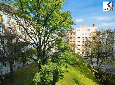 1-Zimmer-Wohnung mieten in Wien – 44 m², € 800 – Bild 10 von 11
