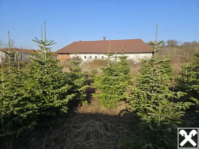 Immobilie kaufen in Linz – 15 881 m², € 990.000 – Bild 8 von 18