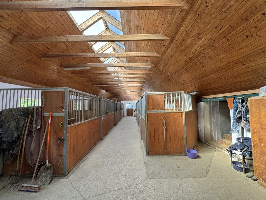 Großzügiges Grundstück - ideal für Landwirtschaft, Pferdehaltung und Anleger Bad Gleichenberg - ruhige und idyllische Lage ca. 115.917 m²