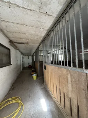 4-Zimmer-Grundstück kaufen in Südoststeiermark – 324,18 m², € 1.290.000 – Bild 38 von 70