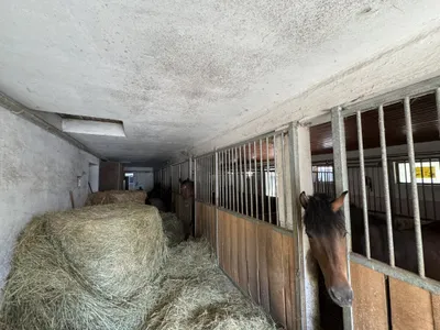 4-Zimmer-Grundstück kaufen in Südoststeiermark – 324,18 m², € 1.290.000 – Bild 7 von 70