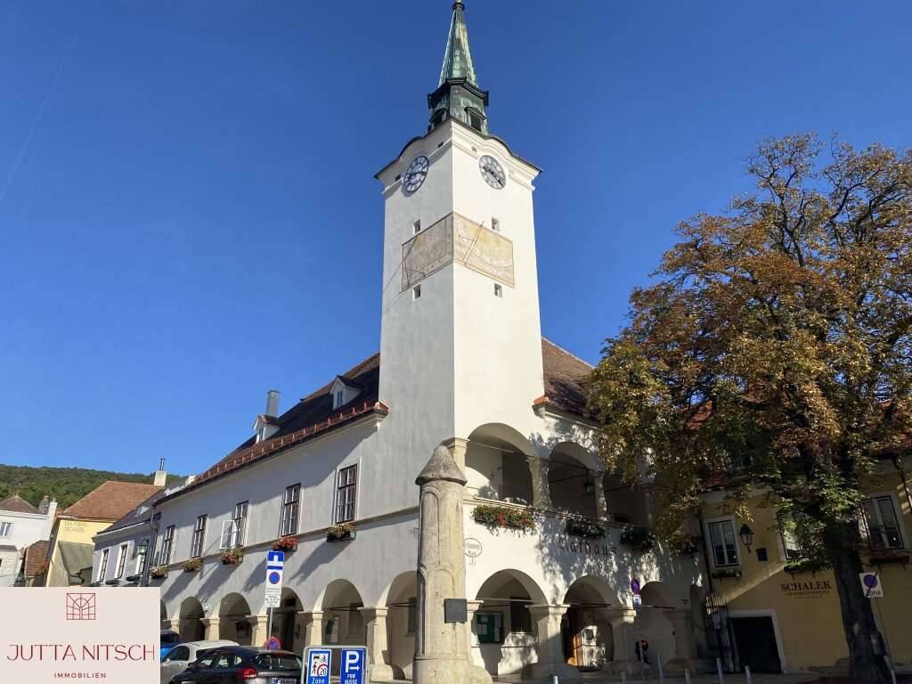 Charmantes Winzerhaus mit großem Weinkeller in bester Lage - Gumpoldskirchen – pohled 3