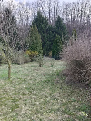 Haus kaufen in Tulln – 150 m², € 279.000 – Bild 8 von 20
