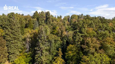 Grundstück kaufen in Graz – 11 147 m² – Bild 4 von 5