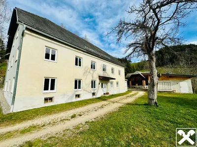 5-Zimmer-Immobilie kaufen in Wolfsberg – 260 m², € 695.000 – Bild 3 von 29