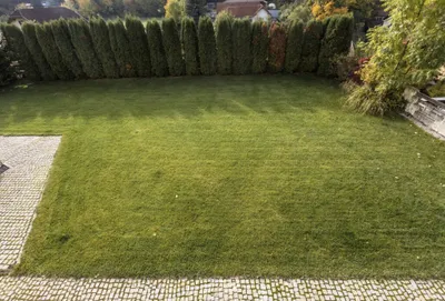 7-Zimmer-Haus kaufen in Wiener Neustadt Land – 473,19 m², € 859.000 – Bild 21 von 78