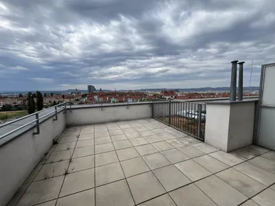 2-Zimmer Wohnung mit Dachterrasse nahe Wienerbergpark in 1100 Wien zu mieten