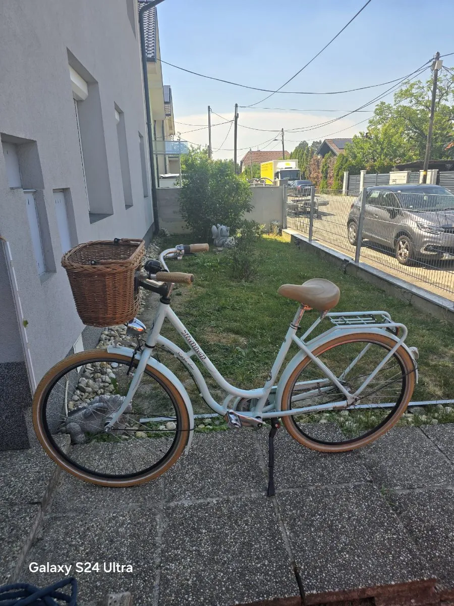 fahrradlenker formen nostalgisch LOEVELOSI Klassischer Hollandrad Vintage Design Aluminium Lenker Silber für Retro Rennrad Hollandfahrrad Damefahrrad Herrenrad City Bike Handlebar Damen & Holland Fahrrad Hollandbike Sport & Freizeit Schläuche & Laufräder Farbe:349 SILICA GREEN Metallic Graphitgraue Haarfarbe mit