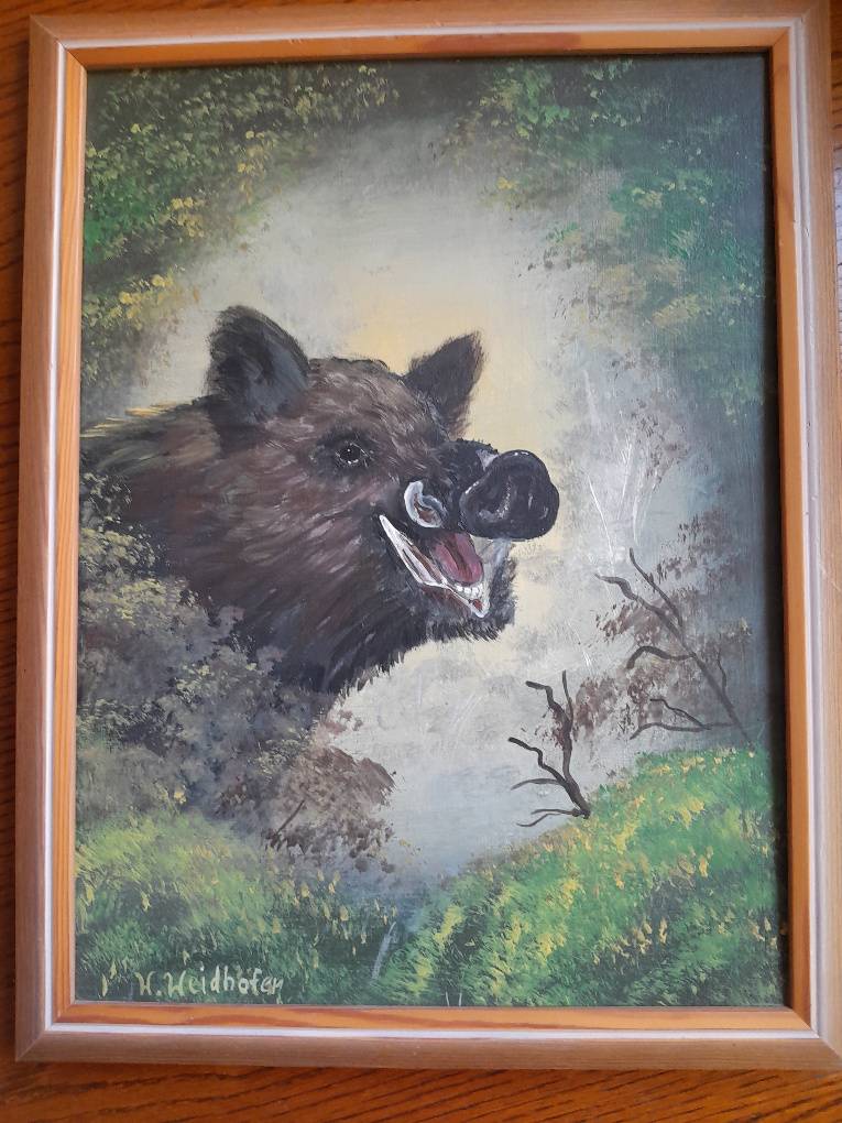 Wildschwein im Wald