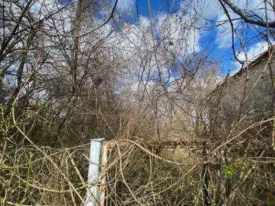3-Zimmer-Immobilie kaufen in Gänserndorf – 110 m², € 249.000 – Bild 10 von 14